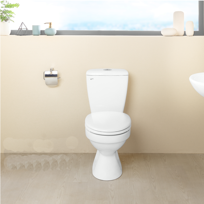 Bồn cầu 2 khối INAX C-108VAN (nắp êm)